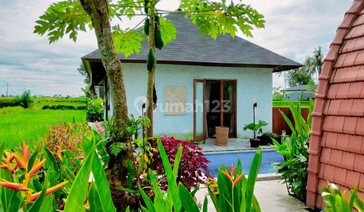 For rent villa rice field view Sayan Singakerta ubud. 10 minute from central ubud. 30 minutes from sanur, 40 minutes from canggu. 1