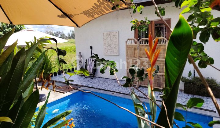 Translate text with your camera

The villa is in the middle of a large rice field, quiet, no noise, 10 minutes from the center of Ubud, monkey forest, Ubud Gianyar

For rent villa ubud most beautiful rice field view Sayan Singakerta Ubud Gianyar 10 menute