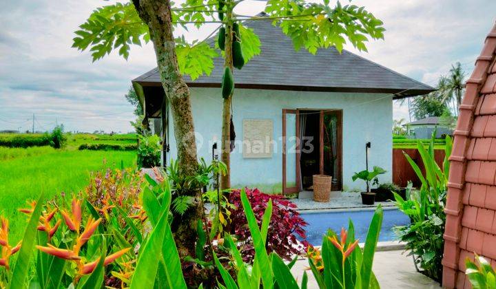 Ubud villa for rent in the middle of sunset rice fields. The most beautiful Rice Field View in the world with rice field view Sayan Ubud Bali 40 minutes from Canggu Bali Indonesia the best seller  1