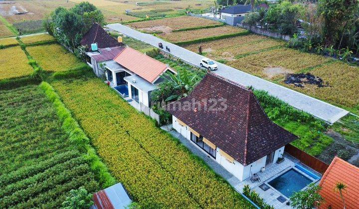 For Rent Villa Rice Field View Ubud In The Middle Of Rice Field Ubud , 10 Routes From The Center Of Ubud Gianyar, Mongkey Fores. Ubud In The Middle Of The Rice Fields Sunset View Of The Most Beautiful Rice Fields In The World For Rent The Villa Is In The  2