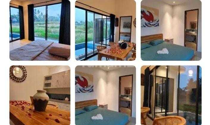 For rent the villa is in the middle of a large rice field, quiet , rice field view Sayan 10 menutes from Central Ubud Gianyar, mongkey forest sentral Ubud Gianyar Bali information call Wayan what's up +62859-0315-0167 , Villa 2 Bedroo For rent the villa is in the middle of a large rice field, quiet , rice field view Sayan 10 menutes from Central Ubud Gianyar, mongkey forest sentral Ubud Gianyar Bali information call Wayan what's up +62859-0315-0167 , Villa 2 Bedroo