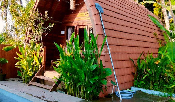 For rent Villa 3 bedroom with 3 bathroom in Ubud the most beautiful view of the rice fields in
Sayan Ubud Bali, 
12 menutes from Central Ubud monkey forest 40 menutes from Canggu Nyanyi beach,
5 menutes from Rusters Kafe & Pepito Supermarket Sayan Ubud,
A 2