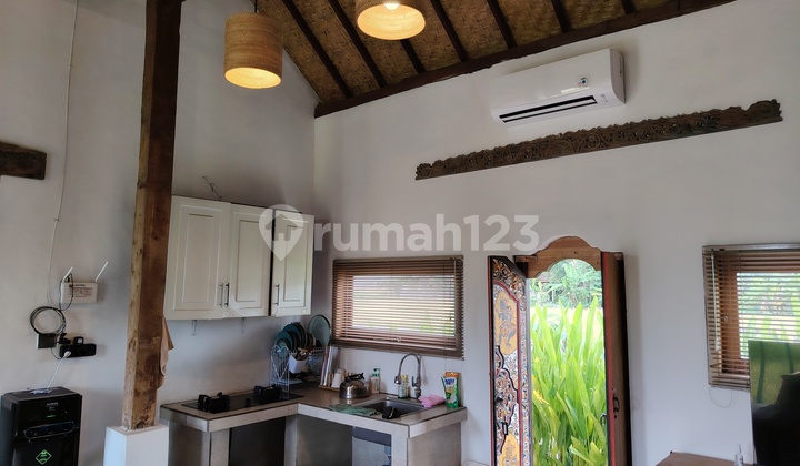 For Rent Villa Ubud with Rice Field View Ubud Gianyar Bali Indonesia rice field view and mountain Agung 40 menutes from Canggu  2