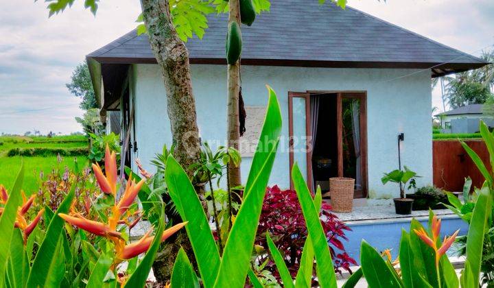 For rent villa ubud rice field view 5 menutes from RustersKafe Sayan Ubud Gianyar 10 menutes from mongkey forest center ubud Bali 10 menutes from Pepito Supermarket  1