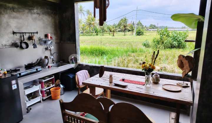 For Rent Villa with Rice Field View, 10 Minutes from Monkey Forest Center Ubud, Bali, Indonesia. Strategic Location 40 Minutes from Canggu, Nyanyi Beach, Tanah Lot.