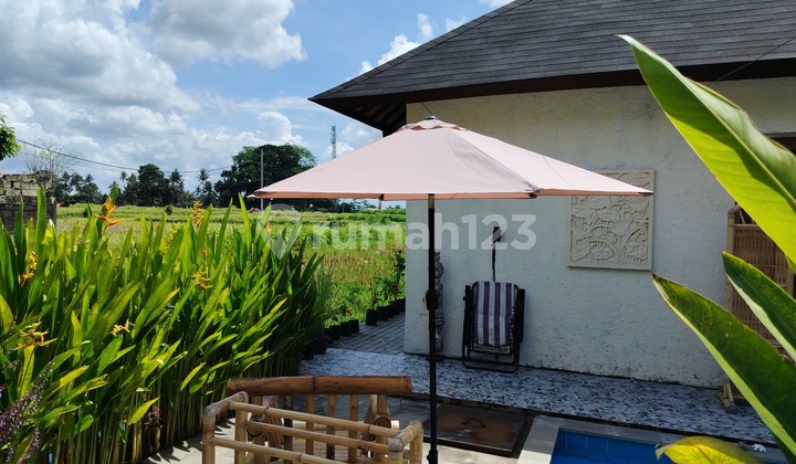 For Rent Villa Ubud with Rice Field View Ubud Gianyar Bali Indonesia rice field view and mountain Agung 40 menutes from Canggu For Rent Villa Ubud with Rice Field View Ubud Gianyar Bali Indonesia rice field view and mountain Agung 40 menutes from Canggu