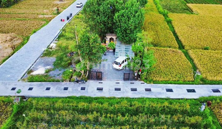 For Rent Villa 2 Bedroom 2 Bathroom IDR 23,000,000 Most Beautiful Rice Fields in Sayan, Ubud, Bali *Agent Property Fee 12% from Owner WhatsApp 08962504xxxx* Strategic 40 Minutes from Canggu, Nyanyi Beach, Tanah Lot Villa 2 Bedroom Rice Field View Description: For Rent Villa 2 Bedroom 2 Bathroom IDR 23,000,000 Most Beautiful Rice Fields in Sayan, Ubud, Bali *Agent Property Fee 12% from Owner WhatsApp 08962504xxxx* Strategic 40 Minutes from Canggu, Nyanyi Beach, Tanah Lot Villa 2 Bedroom Rice Field View Description: