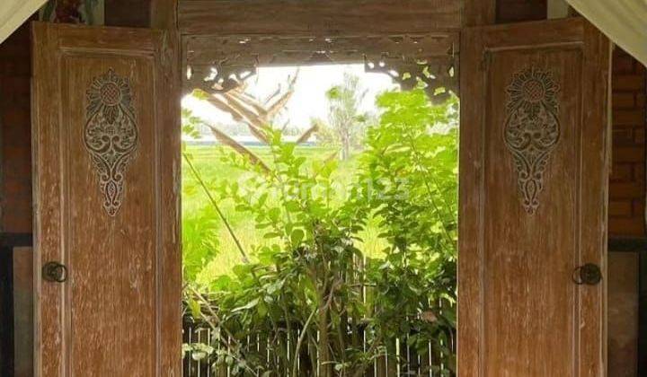 For Rent Mitra Village Tunon Villa In The Middle Of Vast Rice Fields, View Of The Sayan Rice Fields 10 Routes From The Center Of Ubud Gianyar, Mongkey Fores. Ubud In The Middle Of The Rice Fields Sunset View Of The Most Beautiful Rice Fields In The World  2