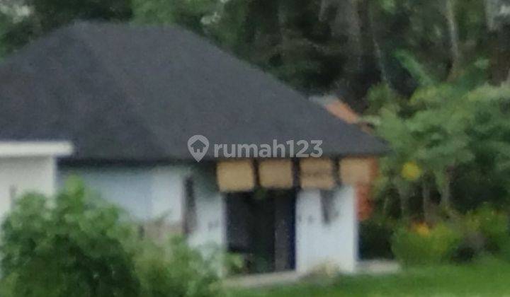 For Rent Villa Rice Field View 10 Menutes From Sentral Ubud Gianyar Bali 1