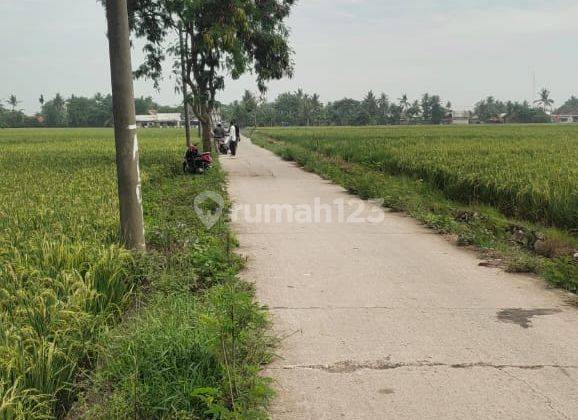 Di Jual Lahan 2 Hektar Lokasi Ds.sukabakti Kec. Tambelang. 8