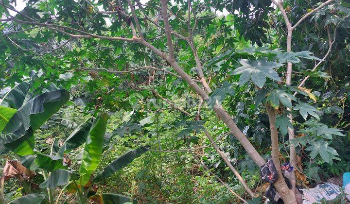 Jual Tanah di Dkt Jalan Patriot Kalimalang Bekasi Barat Masuk Sekitar 100m 2
