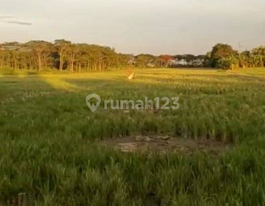 Di Jual Lahan Berdampingan Dgn Perumahan Ispi Group Dan Sumarecon Crown Gading City,di Bekasi Utara. Ds.setia Asih Kec.babelan. 1