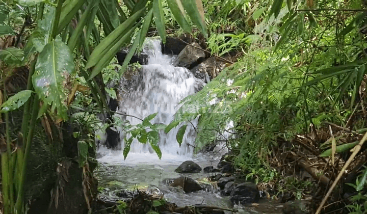 Tanah Dengan Air Terjun Dan 4 Sumber Mata Air Di Munduk Wanagiri Buleleng 4