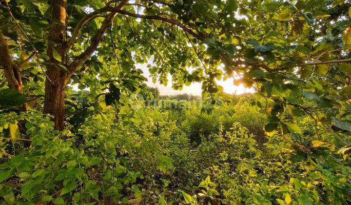 Strategic Location Land In Mainroad Balangan 2