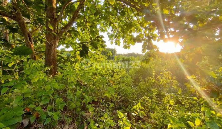 Strategic Location Land In Mainroad Balangan 3