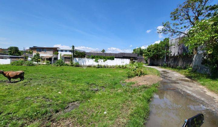 Tegal Cupek Plot of Land Suitable for Business Villa 2