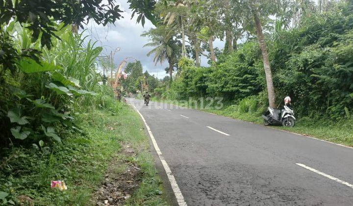 Murah Tanah Pinggir Jalan Utama Payangan Dekat Padma Resort Ubud 2