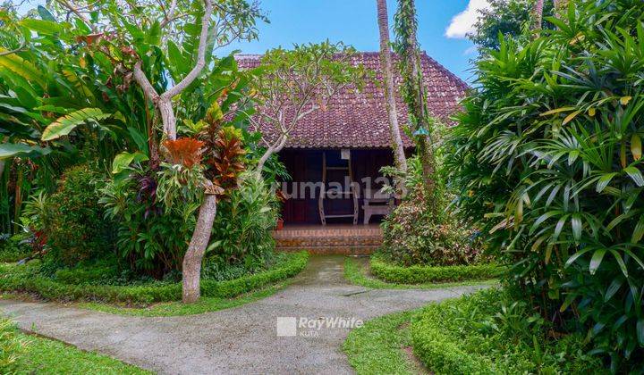 Always Full by Foreigners hotel Occupancy 95 in Panestanan Ubud 1