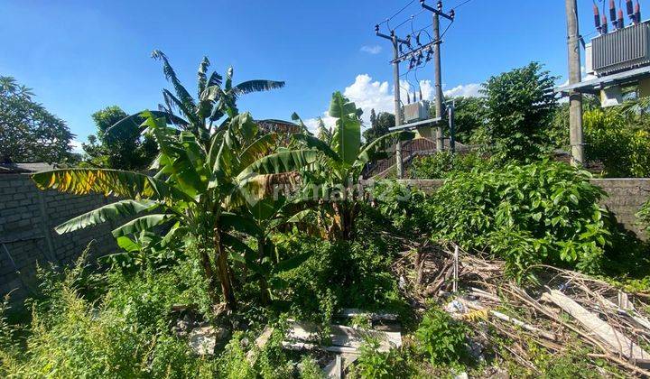 Good Price rare Land In Pererenan 2