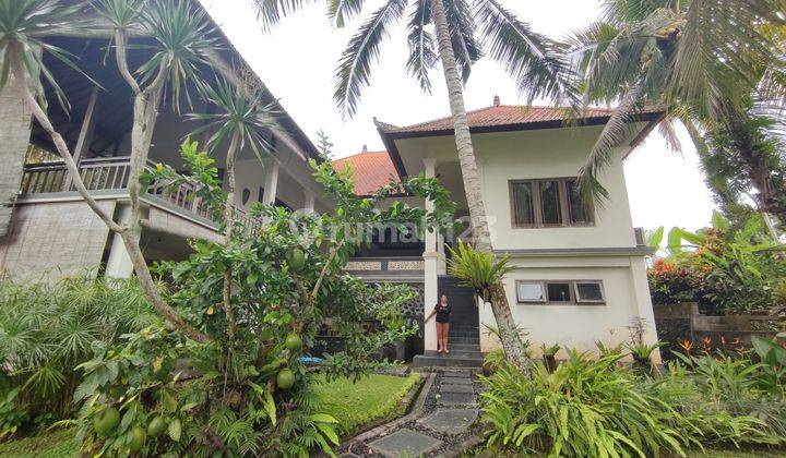 Villa in Ubud with beautiful and lush views of rice fields and forests