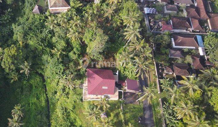 Termurah... Hanya 2jt M2 Tanah di Samplangan Gianyar Ubud.. 1