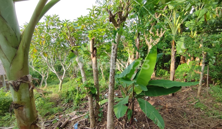 For Rent 20-25 Years Land by the Roadside in Goa Gong.