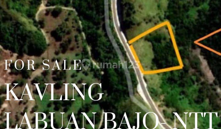 Tanah Kavling Labuan Bajo Strategis Area Bukit Silva Nusa Tenggara Timur  1
