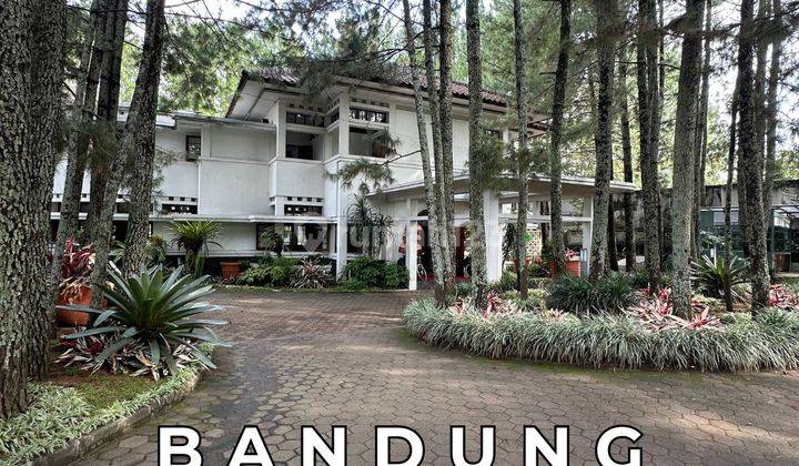 Hotel Hidden Gem di Tengah Hutan Pinus Bandung Jawa Barat Hotel Hidden Gem di Tengah Hutan Pinus Bandung Jawa Barat