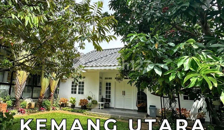 Rumah Sangat Asri Lokasi Premium Bisa untuk Komersial Kemang Utara Jakarta Selatan Rumah Sangat Asri Lokasi Premium Bisa untuk Komersial Kemang Utara Jakarta Selatan