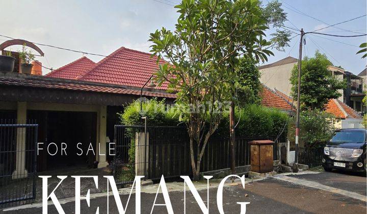 Rumah Dalam Komplek Jual Murah  di Kemang, Kemang 1