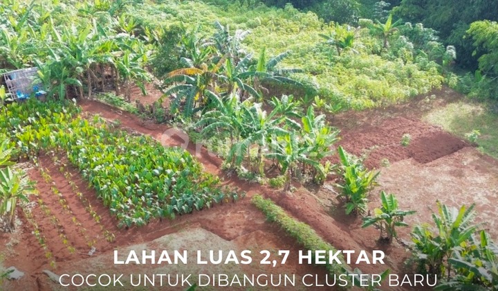 Fast Sale / Jual Cepat Tanah Lahan Luas 2,7 Ha Pondok Cabe Tangerang Selatan Cocok untuk Dibangun Cluster Baru - Ocasa4850 Fast Sale / Jual Cepat Tanah Lahan Luas 2,7 Ha Pondok Cabe Tangerang Selatan Cocok untuk Dibangun Cluster Baru - Ocasa4850