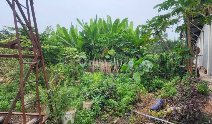 Dijual Tanah Dan Gudang di Cikande Rangkasbitung, Banten 2