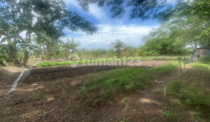 Dijual Tanah Padat Lokasi Pinggir Jalan Cibitung Bekasi Dijual Tanah Padat Lokasi Pinggir Jalan Cibitung Bekasi