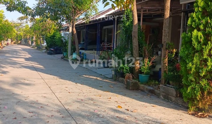 Ready-to-Occupy House for Sale in Segara City Cluster Atlantis, Bekasi Ready-to-Occupy House for Sale in Segara City Cluster Atlantis, Bekasi