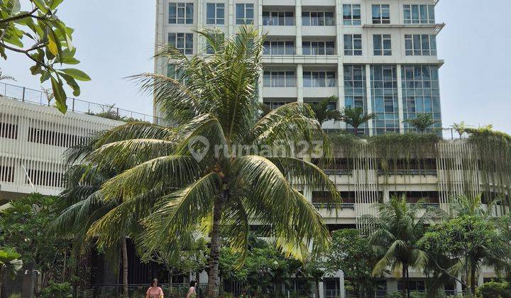 Disewakan Apartement Mewah Siap Huni di Kensington, Kelapa Gading Jakarta Utara 1