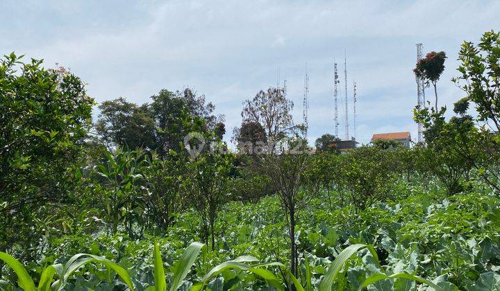 Dijual Tanah Luas Lokasi Bagus di Pager Wangi Lembang Bandung 2