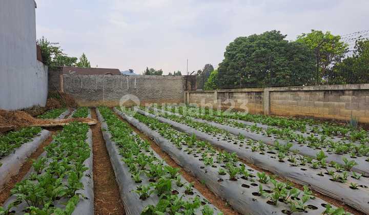 Tanah Strategis Jalan Lebar dan View Bagus di Setiabudi Regency