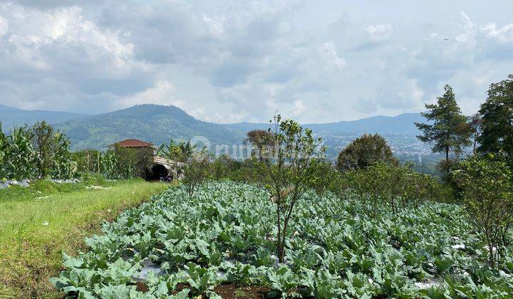 Dijual Tanah Luas Lokasi Bagus di Pager Wangi Lembang Bandung 1