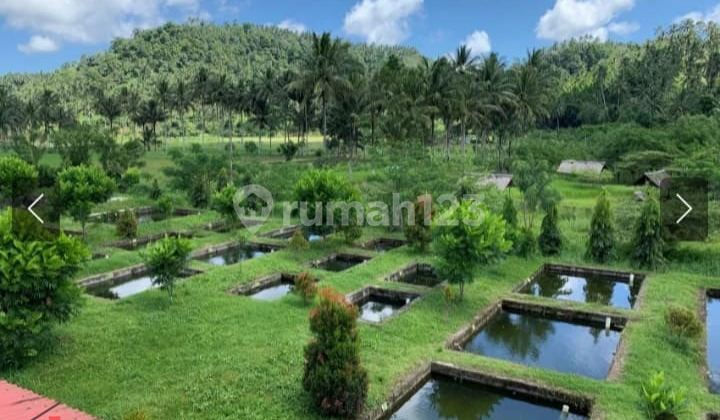 Jual Cepat Tanah Dengan View Terbaik di Dimembe, Minahasa Utara 3