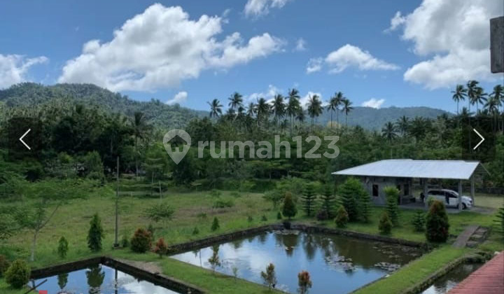 Jual Cepat Tanah Dengan View Terbaik di Dimembe, Minahasa Utara 5