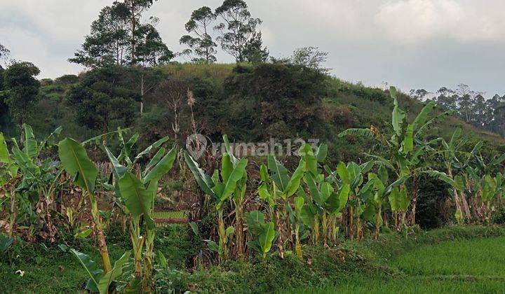 Jual Tanah, Cocok Untuk Villa Atau Berkebun Lokasi Di Ciwidey 3