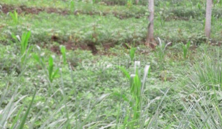 Di Jual Tanah Di Banjaran Murah Banget... 5