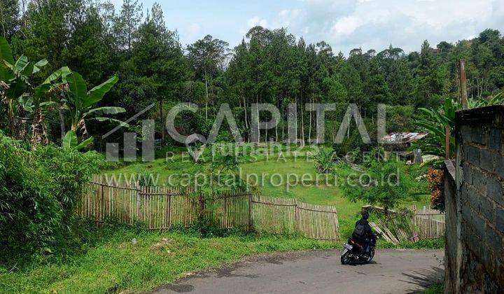  Tanah SHM di Area Ciwidey Dekat Sungai, Bandung  2