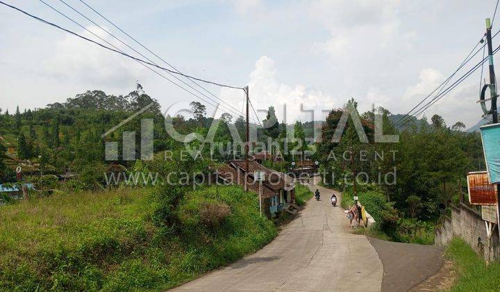  Tanah SHM di Area Ciwidey Dekat Sungai, Bandung  4