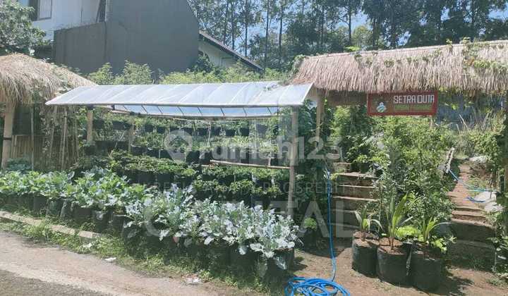 Kavling Dengan Posisi Strategis di Setraduta Bandung