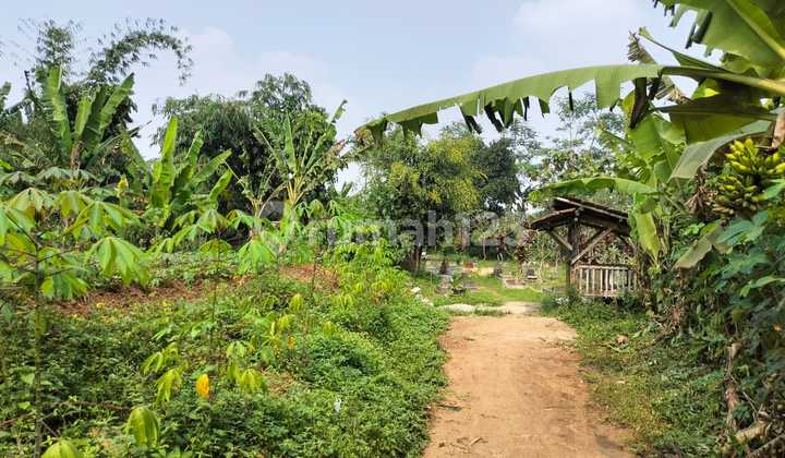 Tanah Siap Bangun di Baleendah Cocok Untuk Dijadikan Gudang Maupun Industri Lainnya