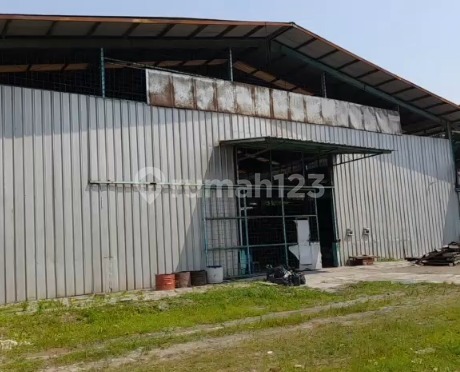 For Rent New Flood-Free Factory in Mauk Moh Toha, Tangerang For Rent New Flood-Free Factory in Mauk Moh Toha, Tangerang