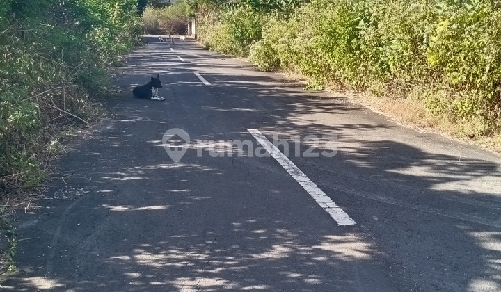 Dijual Tanah padat dan datar dipinggir jalan Ungasan Kuta Selatan bali Dijual Tanah padat dan datar dipinggir jalan Ungasan Kuta Selatan bali
