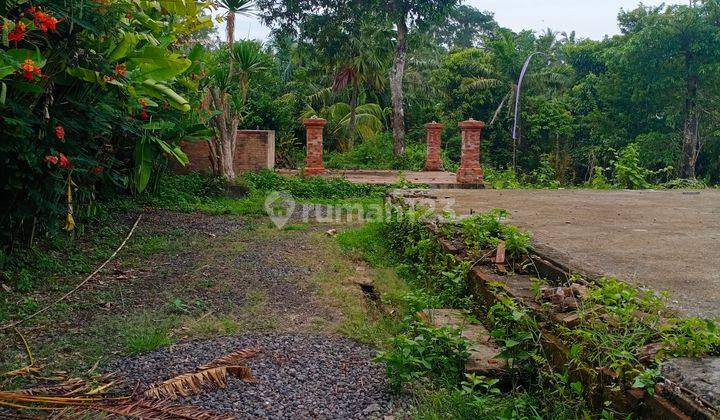 Tanah premium murah hanya 1 menit jalan raya darmasaba  denpasar 4