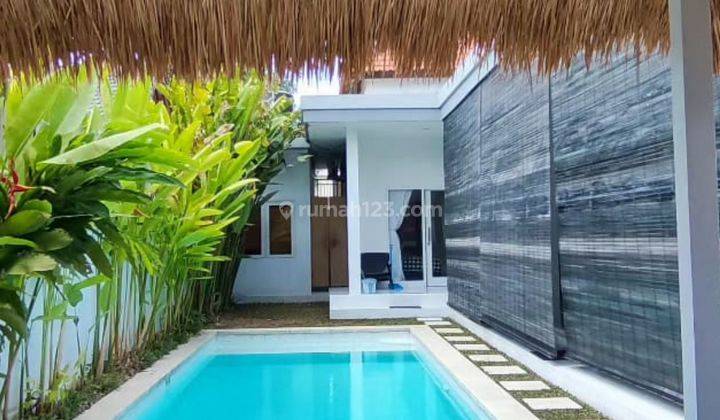 Rent a luxury villa at a low price in the Canggu area, Bali 1